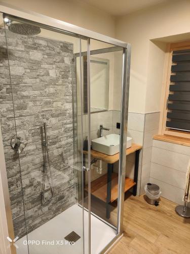 a bathroom with a glass shower and a sink at Ca del tita in Capo di Ponte