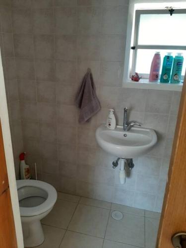 a bathroom with a sink and a toilet at בית הסוס in Nes Ẕiyyona