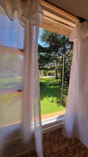 a window with a view of a yard at Chalet Mar del Plata in Mar del Plata