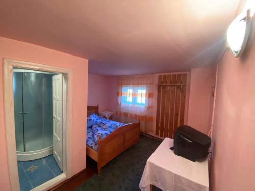 um quarto com uma cama e uma cabina de duche em vidro em Cabana Corina em Vartop