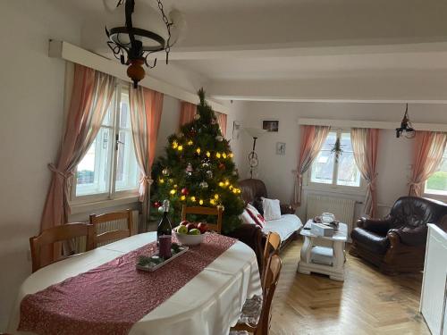 a living room with a christmas tree in a room at Roubenka Doubravice in Hrubá Skála