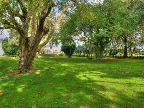 un campo de césped verde con árboles en él en The White Horse View B&B, en Shrivenham