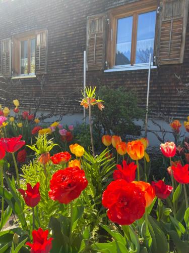 a bunch of red flowers in front of a building at mama käthe - Apartments in Nenzing