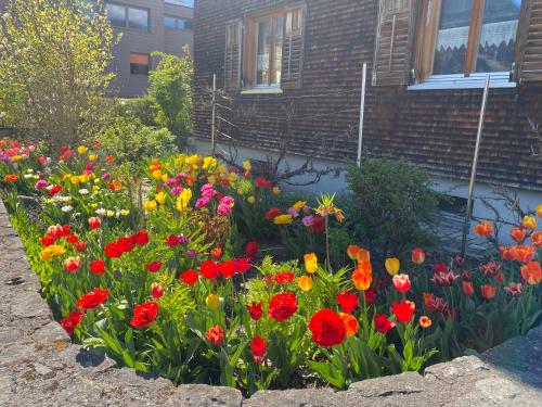 a garden of colorful flowers in front of a house at mama käthe - Apartments in Nenzing