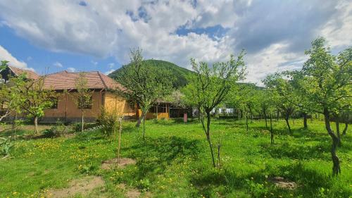 una casa en medio de un campo con árboles en Casa de vacanta 