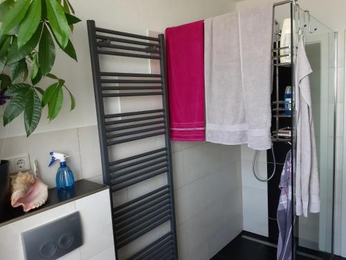 a bathroom with a rack of towels on the wall at Ferienwohnung Spreewaldwiese Nähe Tropical Island in Waldow