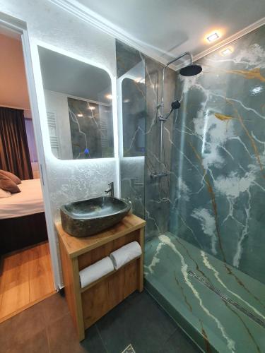 a bathroom with a sink and a shower at Hanul Doftana in Trăisteni