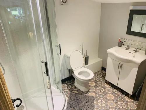 uma casa de banho com um WC, um chuveiro e um lavatório. em Countryside Retreat Loft Apartment 