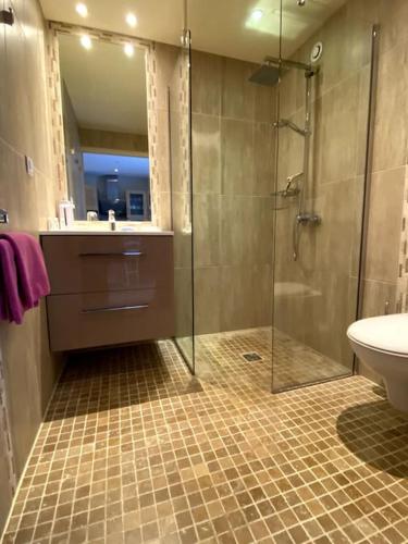 une salle de bain avec une douche, un lavabo et des toilettes dans l'établissement Gîte Le Nathalie Meublé de tourisme 4 étoiles Le Moulin de Prédelles, à Reillanne