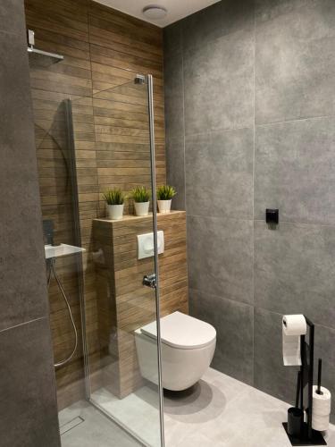 a bathroom with a toilet and a glass shower at Słoneczna Dolina in Krościenko