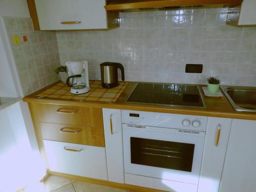 a kitchen with a sink and a stove top oven at Ciasa Gran Panorama Moena in Moena