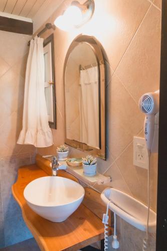 a bathroom with a white sink and a mirror at Solar de amigos in Tandil
