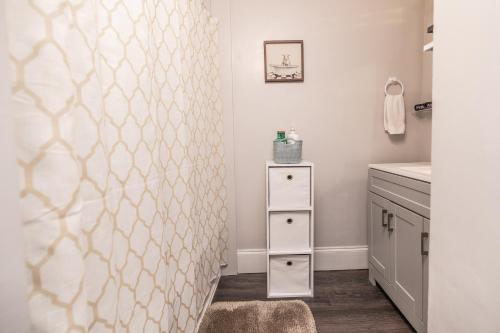 a bathroom with a shower curtain and a sink at Relaxed Asheville Apartment - Pet-Friendly in Asheville