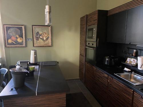 A cozinha ou cozinha compacta de Cozy mountain apartament near the Gondola lift