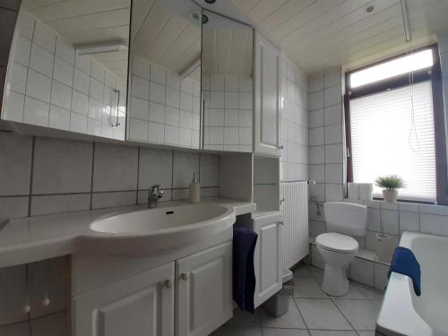 ein Badezimmer mit einem Waschbecken, einem WC und einem Spiegel in der Unterkunft Bergschatz in Langelsheim