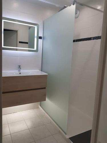 une salle de bain avec un lavabo et un miroir dans l'établissement Logement plein centre de Plérin à proximité des plages et des commerces, à Plérin