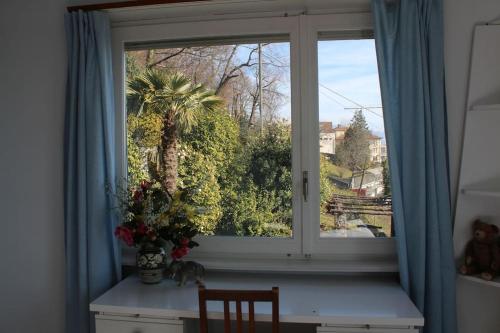 ein Fenster mit Blick auf eine Palme in der Unterkunft Il Bell'Ovile, bellissima villa nel verde, con privacy garantita in Novaggio