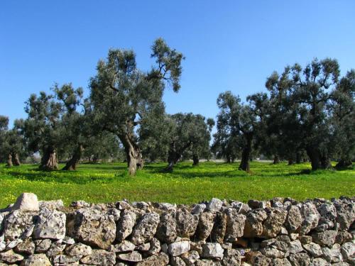 Φυσικό τοπίο κοντά σε αυτό το ξενοδοχείο