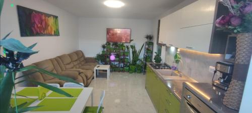 a living room with a couch and a table with plants at Abel Luxury Home in Constanţa