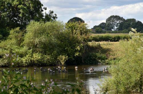 Boat House Lodge – Photos 3