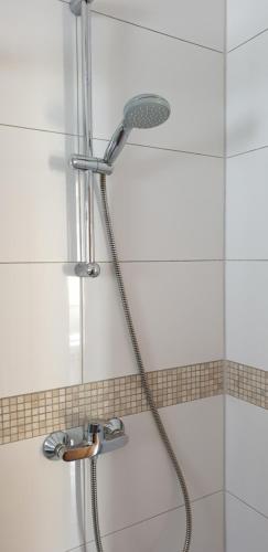 a shower with a shower head in a bathroom at Wohlfühlen in Neckarsulm in Neckarsulm