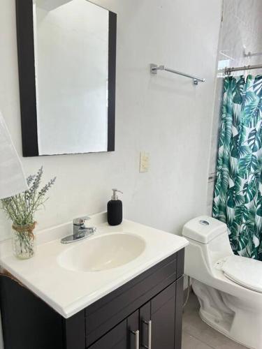 a bathroom with a sink and a toilet and a mirror at Hermoso Dpto a pasos del Fashion Drive c/alberca in Monterrey