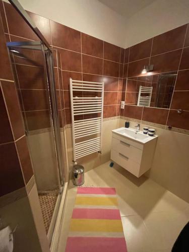 uma casa de banho com um chuveiro e um lavatório. em Apartmán Brooklyn em Skalica