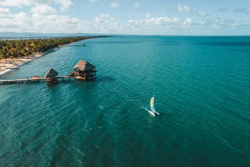 a bird flying over a body of water with a pier at The Lodge at Jaguar Reef in Hopkins