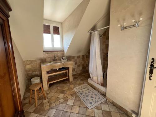 La petite salle de bains est pourvue d'une douche et d'un lavabo. dans l'établissement Le Cabaret Paisible avec Piscine, à Montierchaume