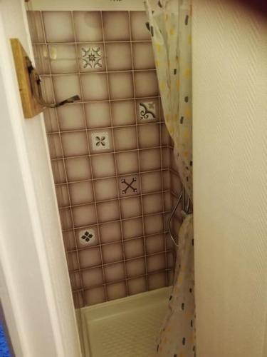 een douche met een douchegordijn in de badkamer bij Le nid douillet Univers in La Bourboule