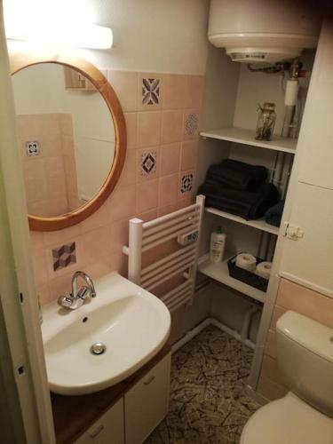 een badkamer met een wastafel, een spiegel en een toilet bij Le nid douillet Univers in La Bourboule