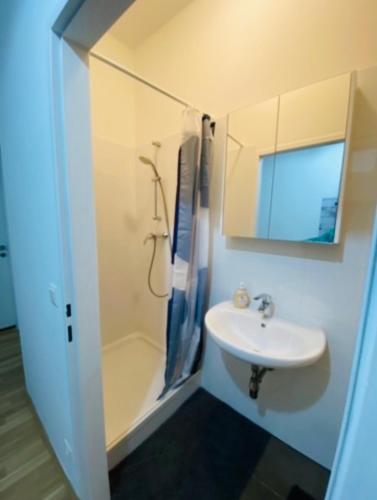 a small bathroom with a sink and a shower at Nice apartment Hollergasse 22 in Vienna