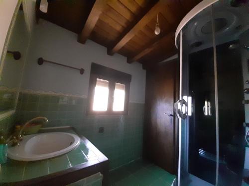 a bathroom with a shower and a sink and a toilet at La Celestina in Candeleda