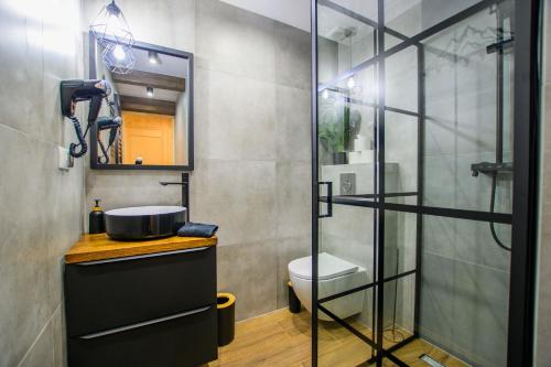 a bathroom with a sink and a glass shower at Apartament Stryszek Alpinistyczny in Bukowina Tatrzańska