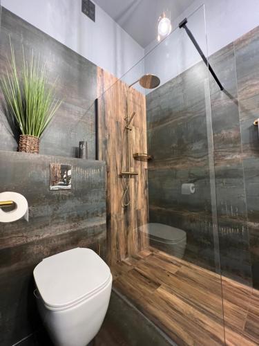 łazienka z toaletą i prysznicem w obiekcie Apartamenty pod Wieżą - Tatarska w mieście Przemyśl