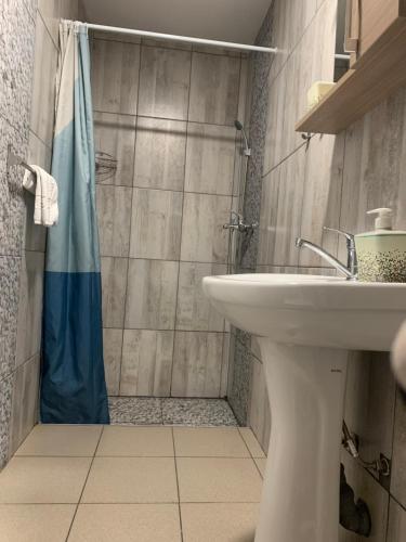 a bathroom with a sink and a shower at Casa David in Constanţa