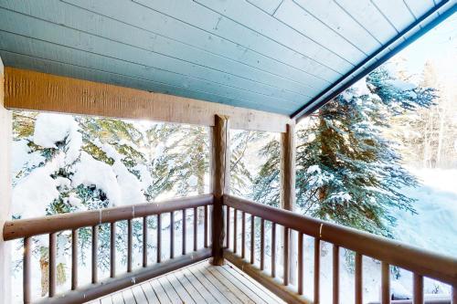 Green Pine – Photos 3