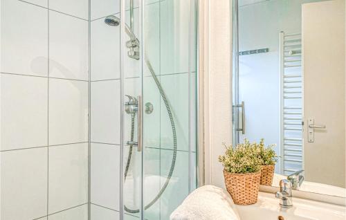 een badkamer met een douche en een wastafel bij Pet Friendly Home In Heinkenszand With Outdoor Swimming Pool in Heinkensand