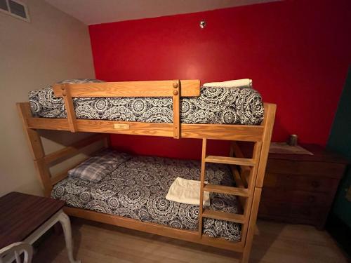 a couple of bunk beds in a room at CoHo: Conway Hostel in Conway