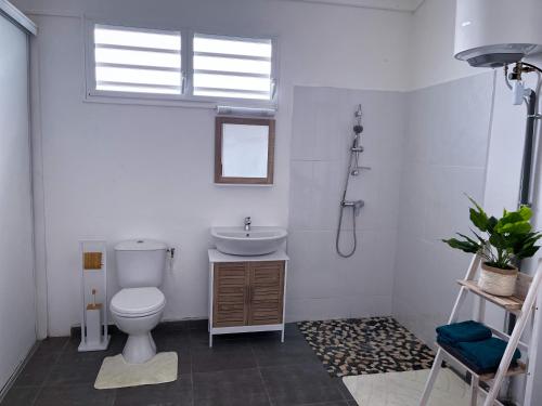 a bathroom with a toilet and a sink and a window at T2 Paisible et spacieux in Baie-Mahault