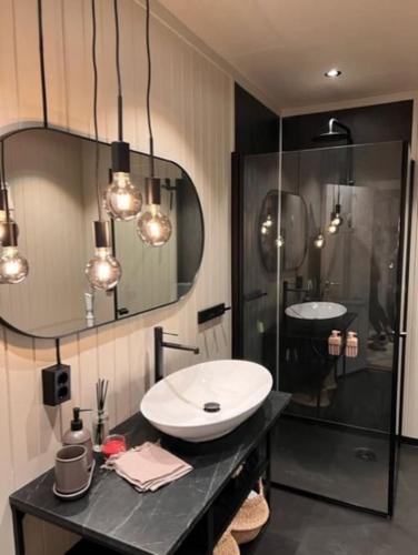 a bathroom with a sink and a glass shower at Skogro ved Norefjell in Noresund