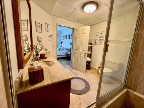 a bathroom with a shower and a sink and a mirror at Beachfront 2 bedroom Condo in Playa Royale Resort, Nuevo Vallarta in Nuevo Vallarta 