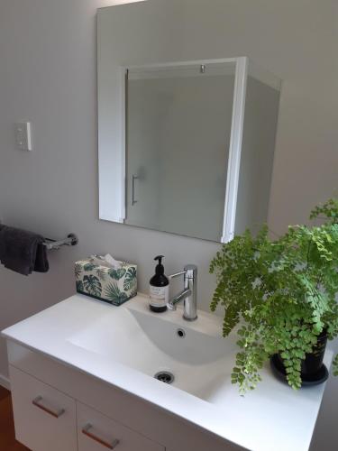 um lavatório de casa de banho com um espelho e uma planta sobre ele em The Gisborne Club - Boutique accommodation em Gisborne