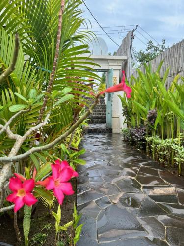 a garden with pink flowers and a pathway at The Seaglass Villas Bingin in Uluwatu