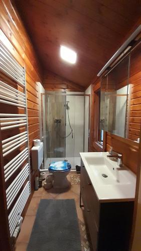 uma casa de banho com um chuveiro, um WC e um lavatório. em Blockhaus am Twistesee mit 3 Schlafzimmern em Bad Arolsen