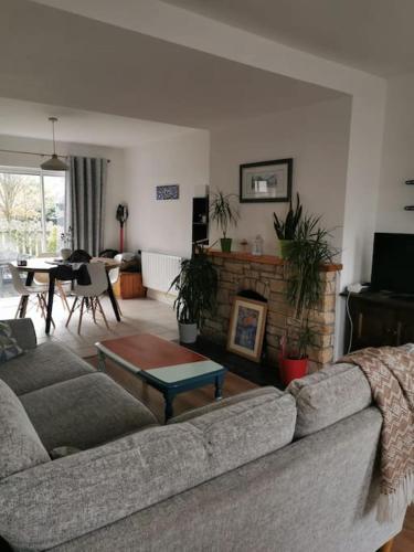 Big Blue - Three-Bedroom House