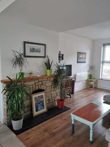 a living room with a brick fireplace with potted plants at Big Blue in Clonakilty