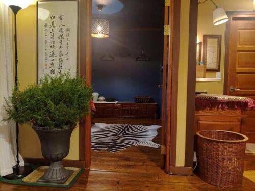 un couloir avec une plante en pot dans une pièce dans l'établissement European garden house, à Yeongju