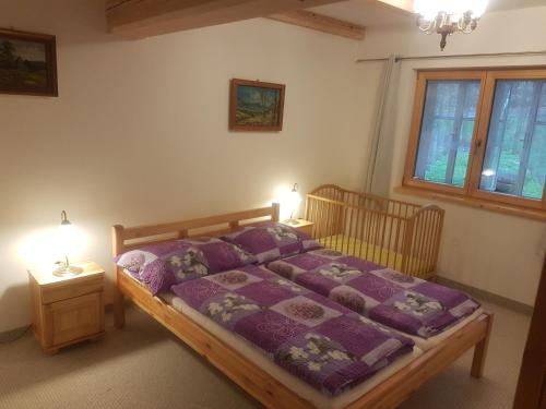 Katil atau katil-katil dalam bilik di Byt Kněžice u Vrchlabí