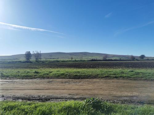 Photo de la galerie de l'établissement Masseria Tarantini, à Castel del Monte